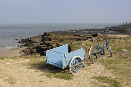 France, Charente-Maritime (17), Ile d'Aix, pointe du Parc