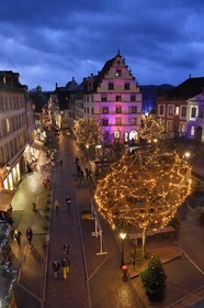 France, Haut Rhin, Colmar, gabled house Rue du Conseil Souverain with Christmas decorations