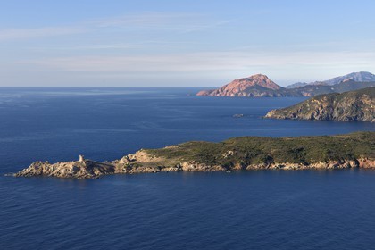 France, Corse du Sud, Cargese, the Genoese tower of the point of Omigna and the Capo Rosso in the background (aerial view)