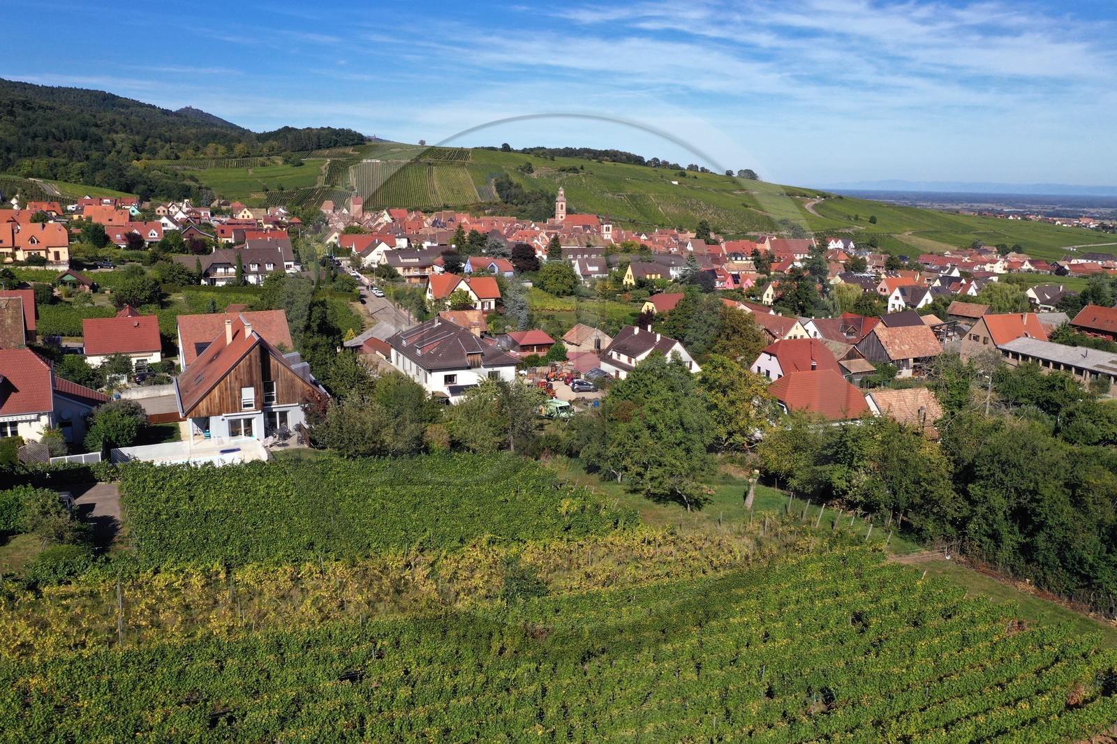 France, Haut-Rhin (68), Route des vins d'Alsace, Riquewihr, labellis France, Haut-Rhin (68), Route des vins d'Alsace, Riquewihr, labellis