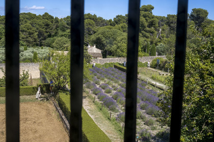 France, Bouches-du-Rhône (13), Parc Naturel Régional des Alpilles, Saint-Rémy-de-Provence, monastère Saint-Paul-de-Mausole, l'asile psychiatrique historique la Maison de santé Saint-Paul où Van Gogh fût interné en 1889-1890, la vue depuis la chambre de Van Gogh