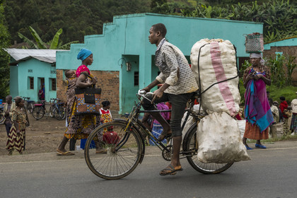 Rwanda, Province du Nord, District de Musanze (Ruhengeri), jour de marché à Muryabazira sur la Route Nationale 4 entre Kigali et Ruhengori, transport de gros sacs sur une bicyclette, les bicyclettes sont le principal moyen de transport local