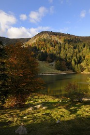 France, Haut-Rhin (68), en contrebas de la route des Crêtes, le lac des Truites ou lac du Forlet, situé dans un ancien cirque glaciaire au pied du massif du Tanet