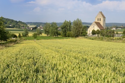 France, Haut-Rhin (68), Sundgau, Oltingue, église Saint-Martin-des-Champs