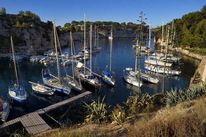 France, Bouches du Rhone, Cassis, National Park of the Calanques, Calanque de Port Miou (cove), the marina (request for authorization necessary before publication)