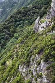 Portugal, Ile de Madère, randonnée de Machico à Porto da Cruz par le Vereda do Larano, randonneurs sur le sentier taillé à flanc de paroi dans la falaise de Larano