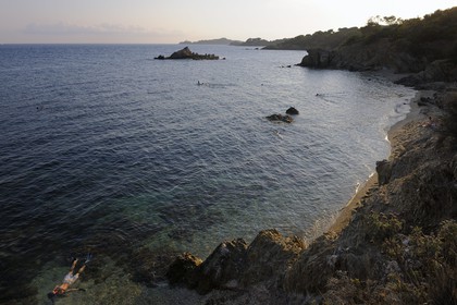 France, Var (83), presqu'île de Giens, la côte vers la Tour Fondue, plongée en apnée