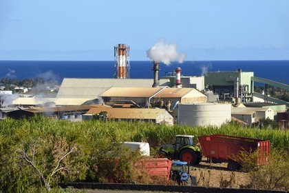 France, Reunion island (French overseas department), Saint-Louis, Le Gol sugar factory behind the sugar cane fields