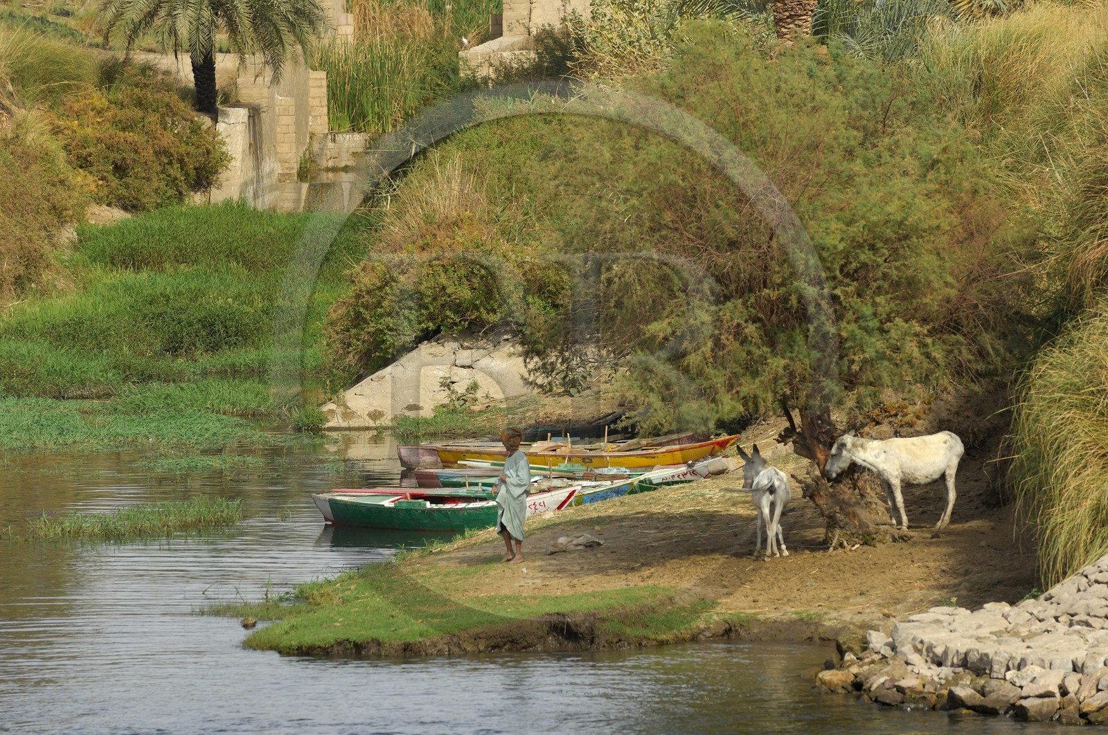 Egypte, Haute Egypte, vallée du Nil, le Nil entre Edfou et Kom Ombo