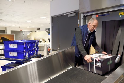 Norway, Svalbard, Spitzbergen, Longyearbyen, Svalbard Global Seed Vault (Seed Bank), arrival and scanning of seeds at the airport baggage claim area performed by NordGen, a polar bear in the background