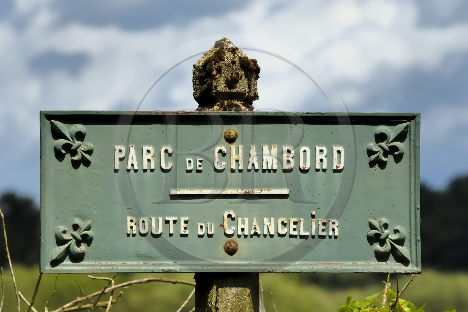 France, Loire et Cher, domaine du château de Chambord