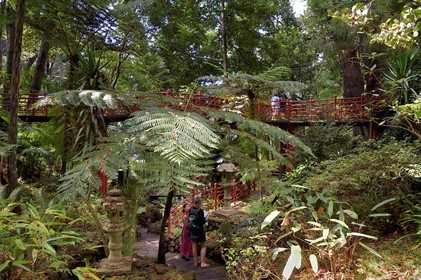 Portugal, Madeira Island, Funchal, the Monte Palace tropical garden