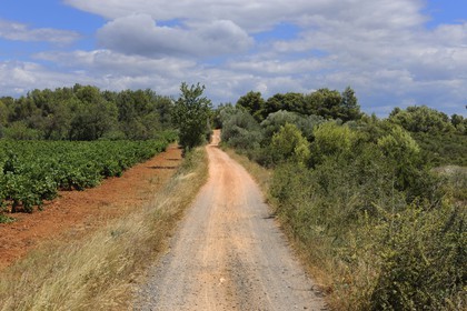 France, Herault, region of Pinet, the Via Domitia, section bassin of Thau, outside of cities it is a dirt track on laminated layers of gravel and crushed stone