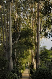 Brasil, Minas Gerais state, Brumadinho, Centro de arte contemporanea Inhotim (contemporary artwork center)