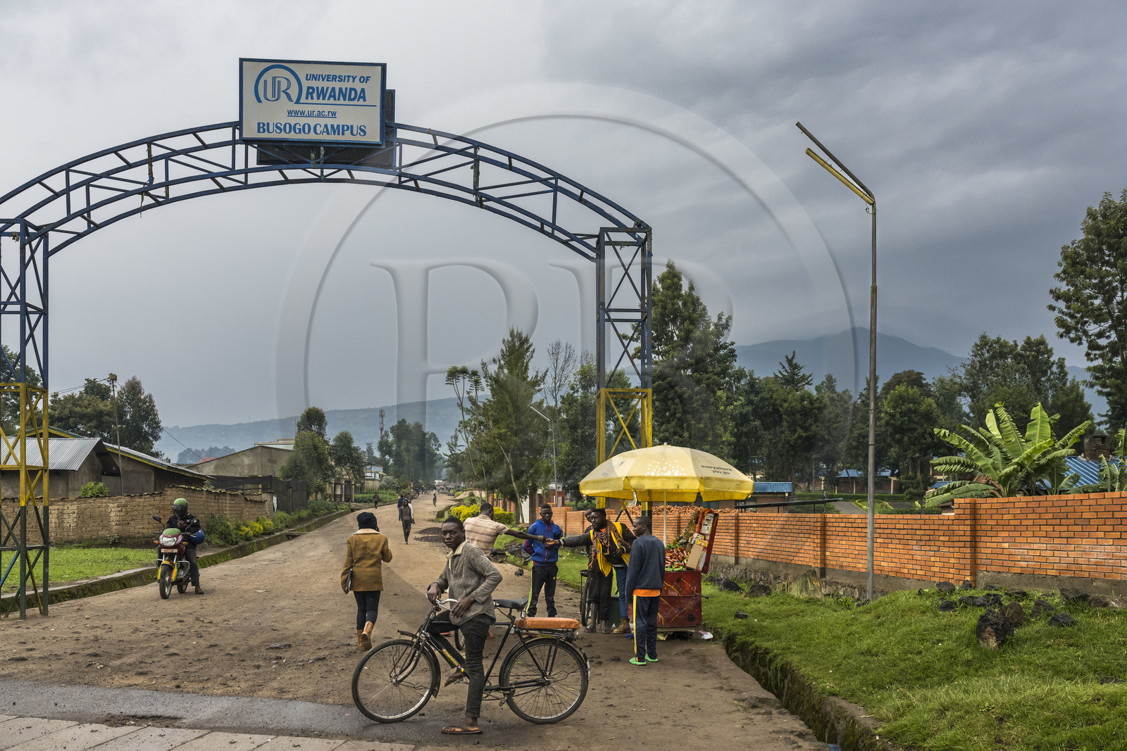 Rwanda, Province du Nord, District de Musanze (Ruhengeri), Busogo, campus de Busogo (Agriculture, science alimentaire, eaux et forêt) de l'université du Rwanda et le mont Karisimbi dans les montagnes des Virunga où vivent les gorilles