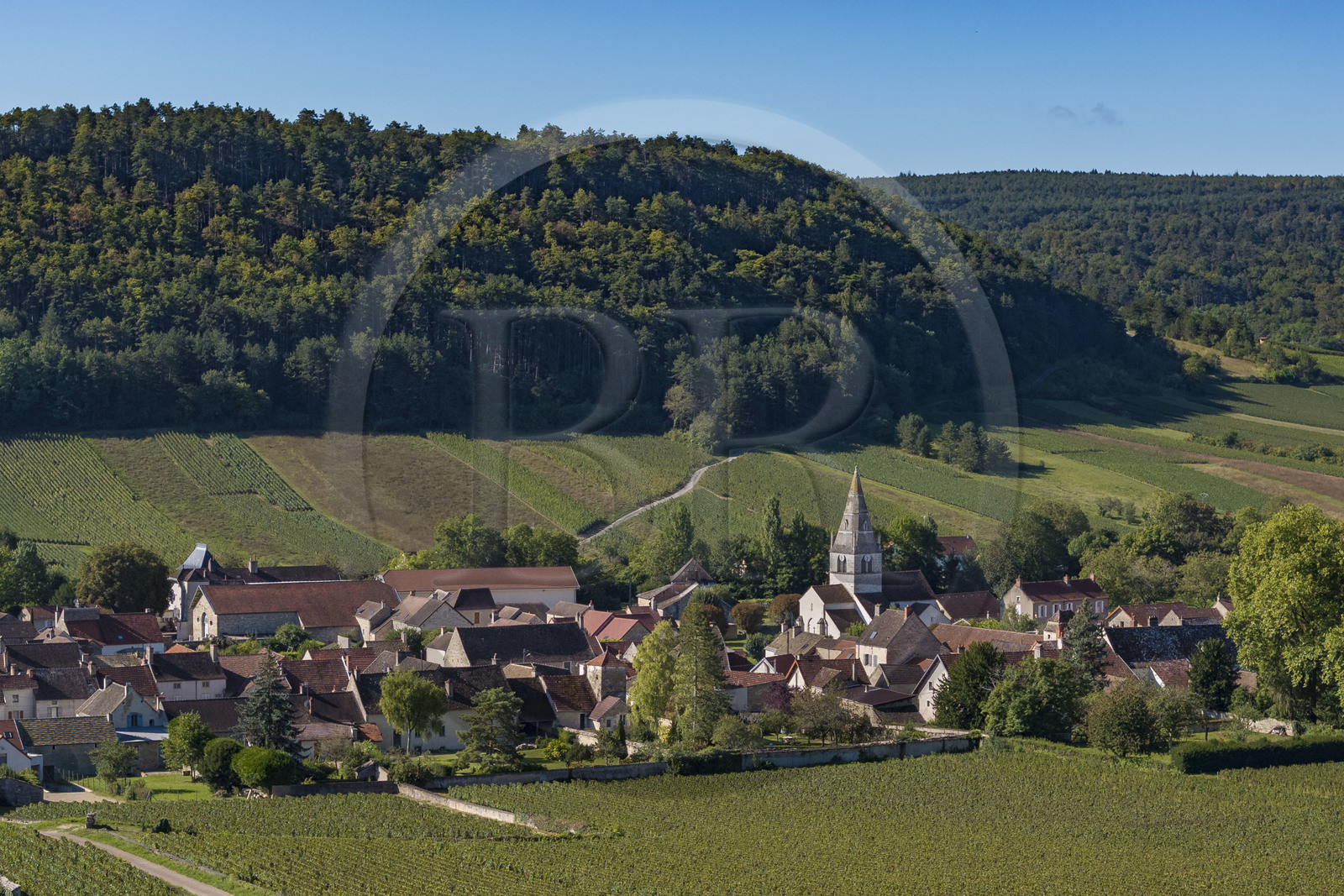 France, Côte-d'Or (21), les climats de Bourgogne classés Patrimoine Mondial de l'UNESCO, Côte de Beaune, village de Auxey-Duresses entouré de vignes (vue aérienne)