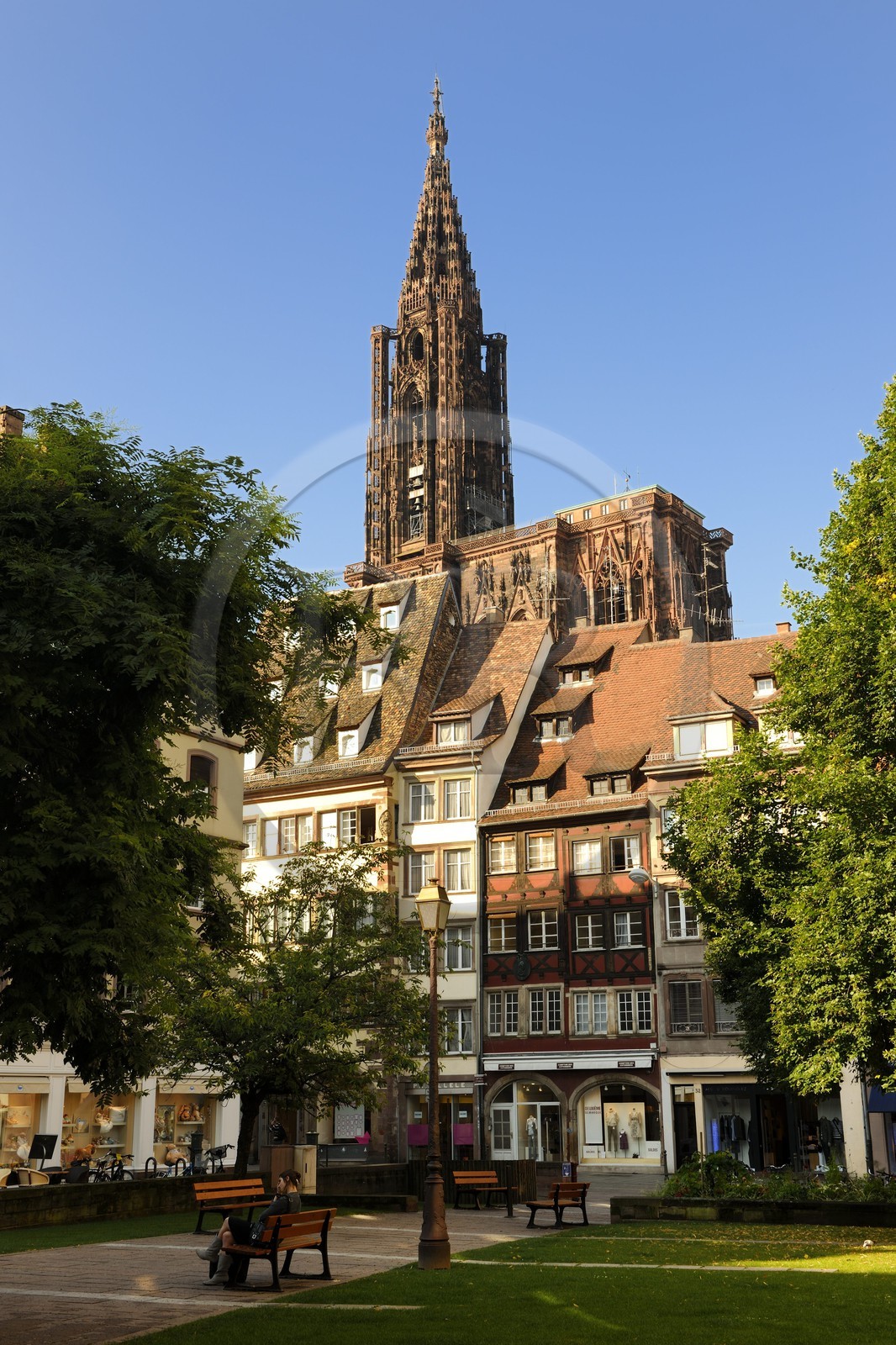France, Bas-Rhin (67), Strasbourg, la cathédrale Notre-Dame depuis la place des Tripiers