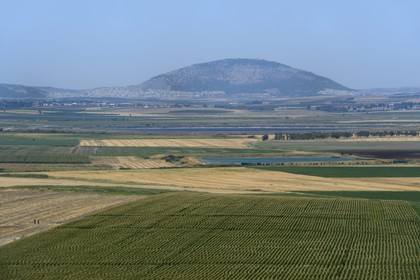 Israel, district du nord, Galilée, vallée de Jezreel et le Mont Thabor (Tabor) en arrière plan