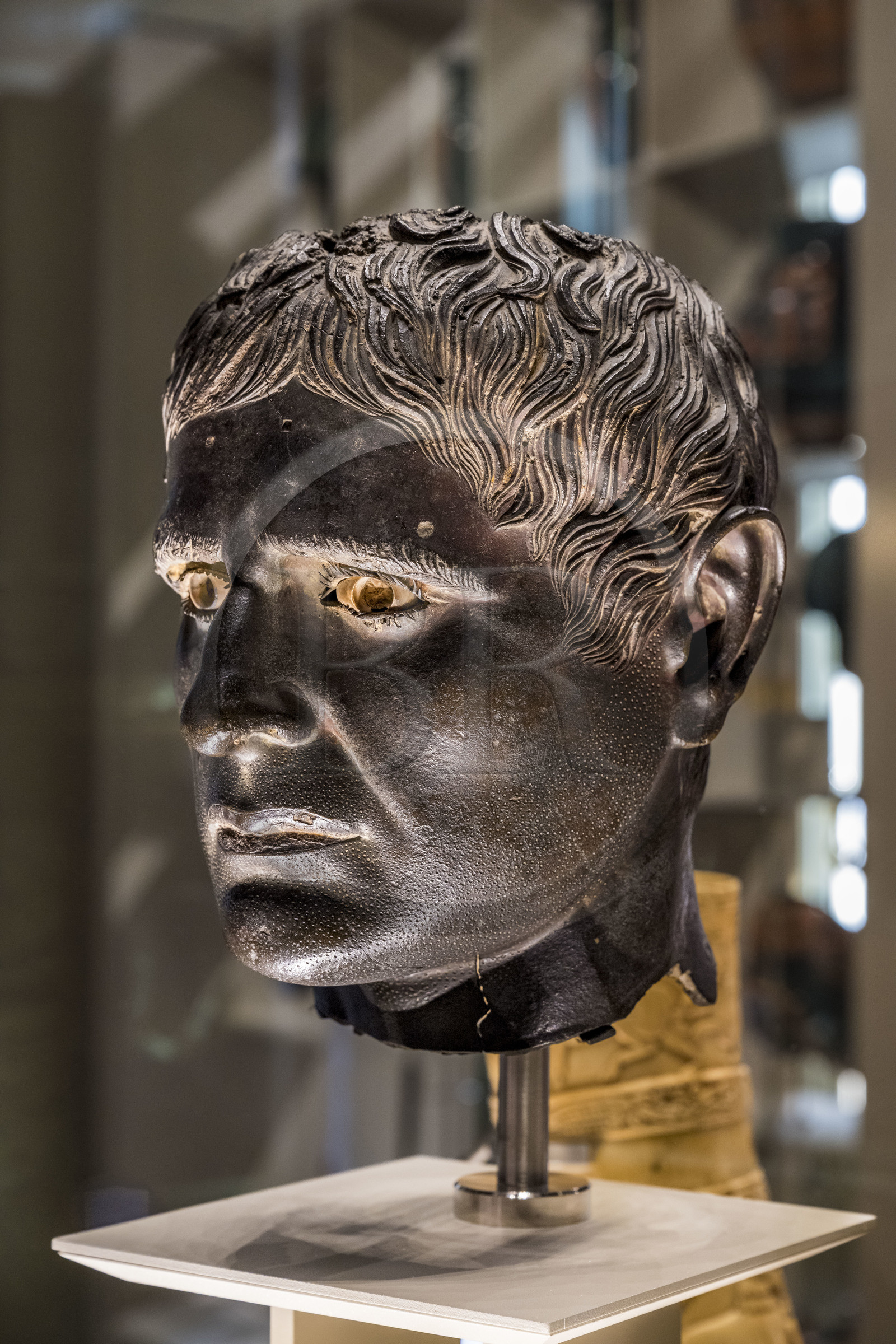 France, Paris (75), Bibliothèque Nationale de France, site Richelieu, la Salle de Luynes, portrait masculin, Abruzzes (Italie) entre 340 et 200 av J.-C., cette tête appartenait à une statue honorifique d'un noble du Samnium
