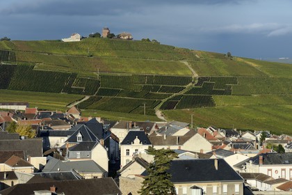 France, Marne, Parc Naturel de la Montagne de Reims (Natural Park of Montagne de Reims), Verzenay, Champagne vineyards
