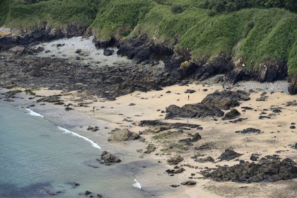 France, Finistere, Le Prajou, municipality of Guimaec, GR 34 trail towards the Pointe de Beg-an-Fry