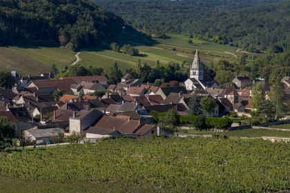France, Côte-d'Or (21), les climats de Bourgogne classés Patrimoine Mondial de l'UNESCO, Côte de Beaune, village de Auxey-Duresses entouré de vignes (vue aérienne)