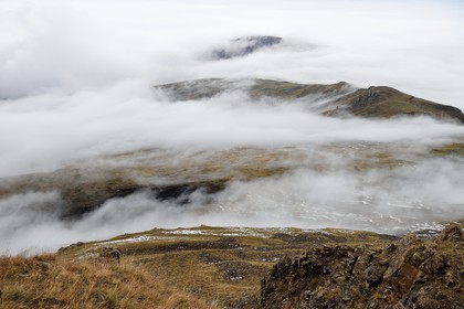 Azerbaijan, Quba (Guba) region, Greater Caucasus mountain range, landscape in the clouds on Mount Gizilgaya between the village of Giriz and Laza