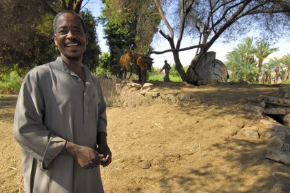 Egypte, Haute Egypte, Nubie, vallée du Nil, Assouan, la rive ouest, puit dans la campagne nubienne