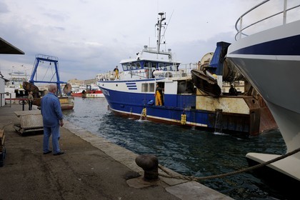 France, Hérault (34), Sète, Vieux Port, activité d’amarrage sur le quai de la criée