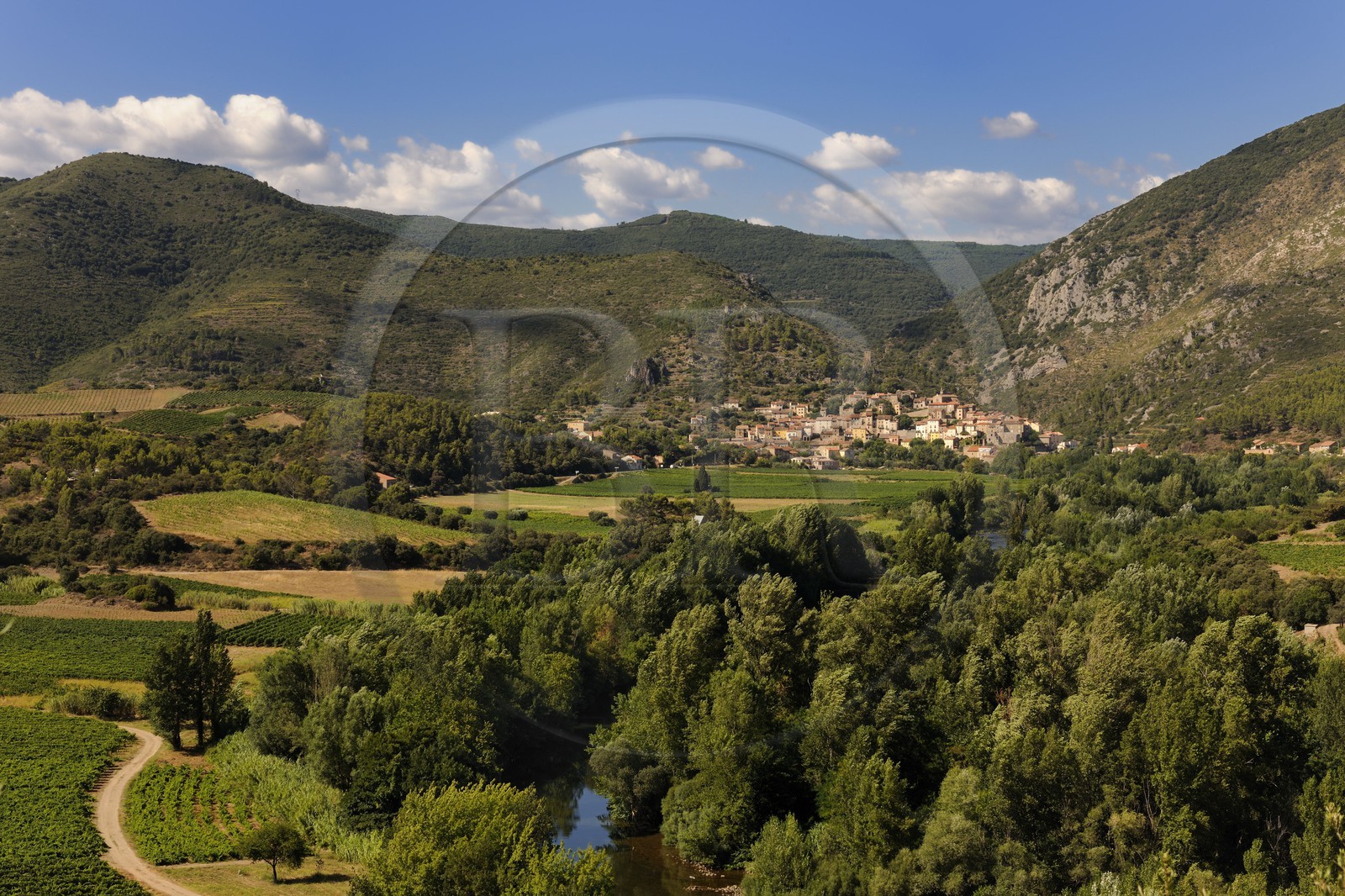 France, Hérault (34), vallée de l' Orb, village de Roquebrun au lointain et vignoble AOC Saint-Chinian & Roquebrun