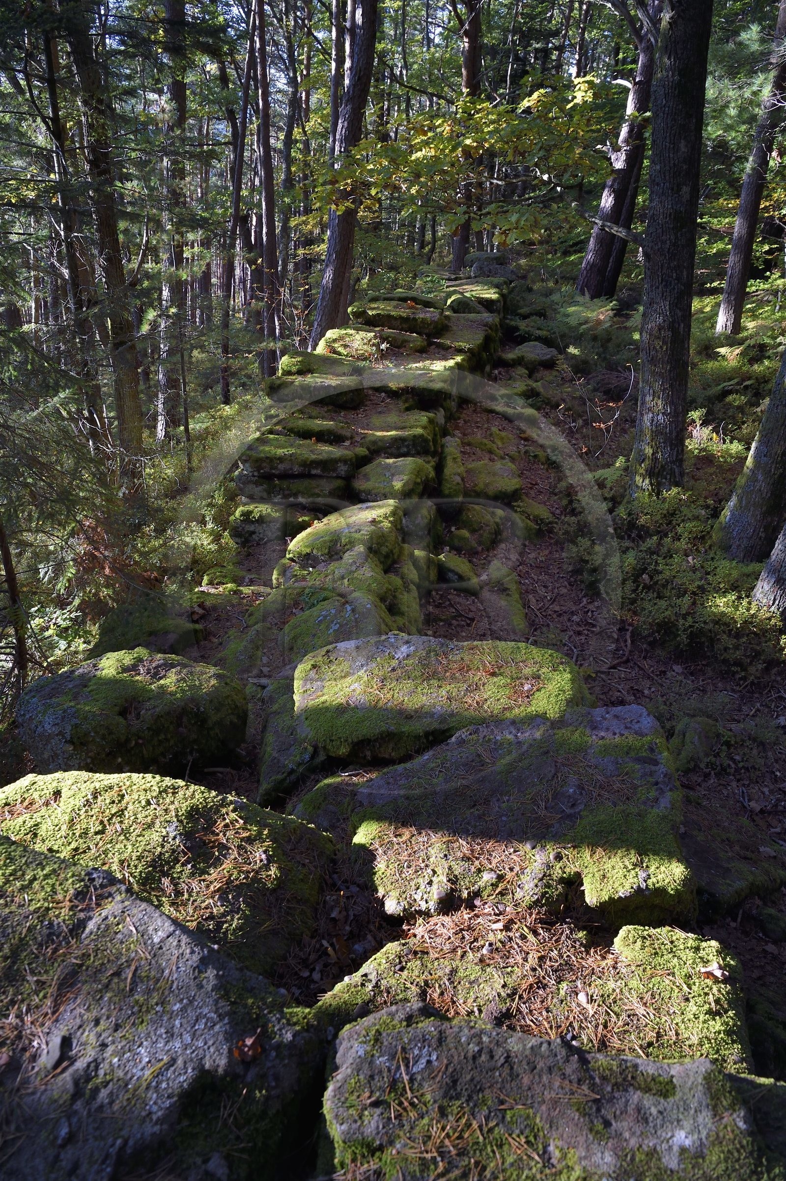 France, Bas-Rhin (67), Mont Saint-Odile, le Mur Païen, vestige d'un mur d'enceinte probablement de l'époque mérovingienne d'une longueur totale de onze kilomètres