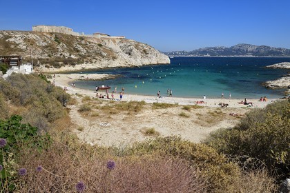 France, Bouches-du-Rhône (13), Marseille, Parc National des Calanques, Archipel des Iles du Frioul, Ile Ratonneau, plage de Saint-Estève