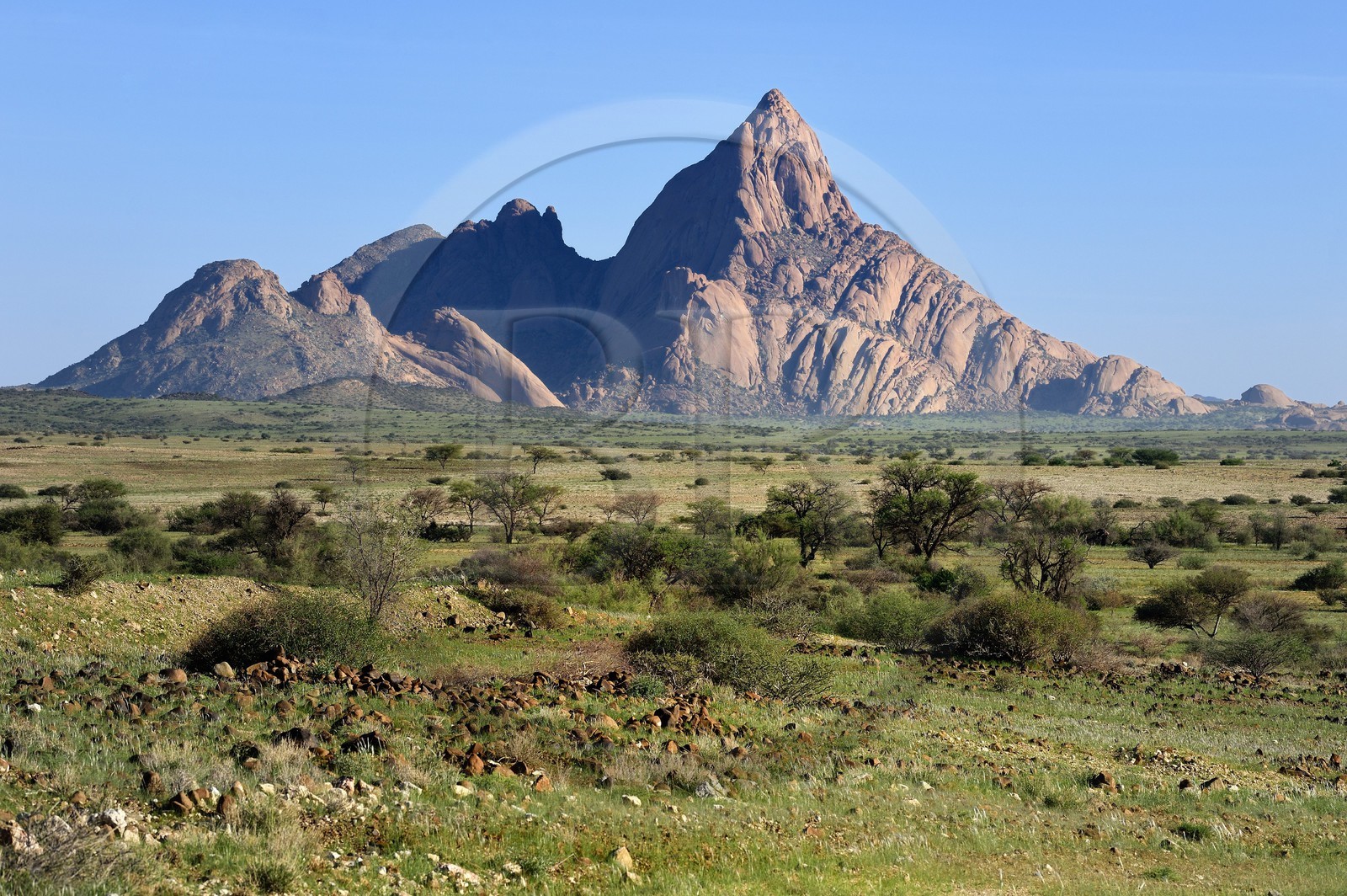 Namibia, Erongo region, Damaraland, the Little Spitzkoppe or Spitzkop (1784 m), granite mountain in the Namib Desert