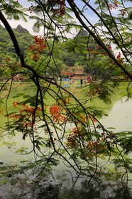 Vietnam, province de Ha Tay, pagode Thay ou pagode du Maître