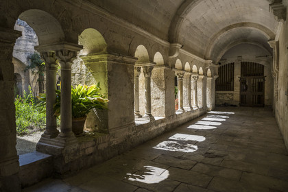 France, Bouches du Rhone, Regional Natural Park of the Alpilles, Saint Remy de Provence, Saint-Paul-de-Mausole monastery, where Van Gogh was interned in 1889-1890, the Romanesque cloister from the 11th and 12th centuries