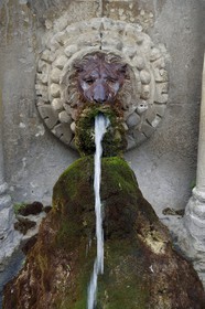 France, Vaucluse, Parc Naturel Regional du Luberon (Natural Regional Park of Luberon), Lourmarin, labelled Les Plus Beaux Villages de France (The Most Beautiful Villages of France), fountain with lion's head