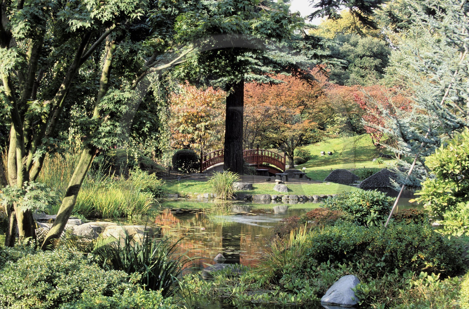 France, Hauts-de-Seine (92), Boulogne-Billancourt, le jardin japonais du musée départemental Albert-Kahn France, Hauts-de-Seine (92), Boulogne-Billancourt, le jardin japonais du musée départemental Albert-Kahn