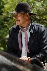Argentina, Buenos Aires Province, San Antonio de Areco, gaucho at the Tradition Day festival (Dia de Tradicion)