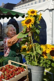 Germany, Baden-Wurttemberg, Freiburg im Breisgau, market day on Munsterplatz