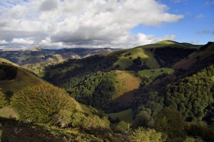 France, Pyrenees Atlantiques, Basque Country, Aldudes valley, Urepel, Spanish border and boundary of the Quinto Real (Kintoa)