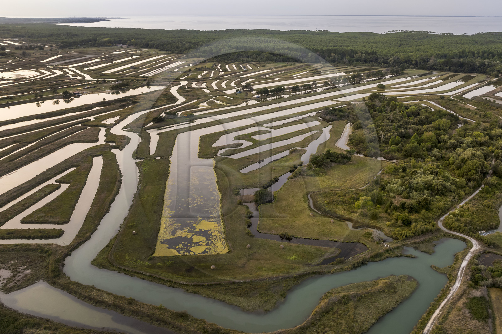 France, Charente Maritime, Oleron island, Saint Georges d'Oléron, the old salt marshes which today serve as an area for refining oysters, oysters, and shrimp farming (aerial view)
