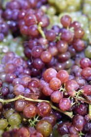 France, Haut-Rhin (68), Route des vins d'Alsace, Bergheim, Domaine viticole Marcel Deiss, fermentation du raisin dans une grande cuve