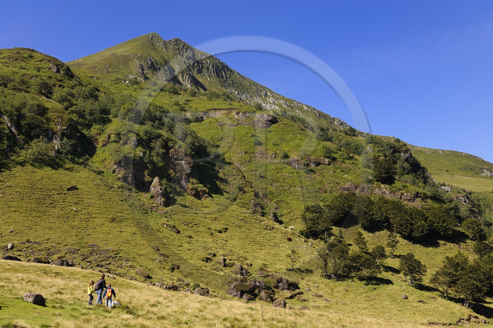 France, Cantal, France, Cantal, monts du Cantal, Parc Naturel Régional des Volcans d'Auvergne (regional nature park of Auvergne volcanoes), hiking at the bottom of the Puy-Mary mount (1783m)