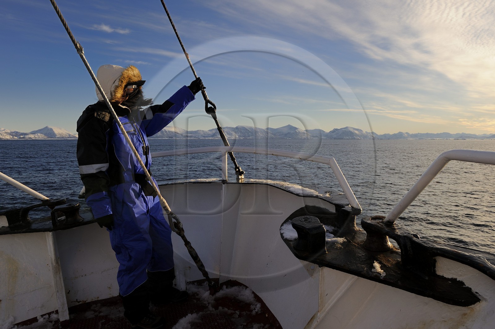 Norvège, Nordland, iles des Westeralen, région de Myre, le bateau Leonora pour l'observation des baleines