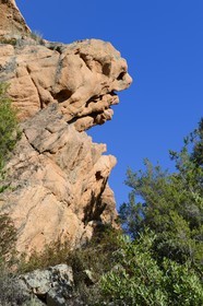 France, Corse du Sud, Golfe de Porto, listed as World Heritage by UNESCO,  the Creeks of Piana (Calanches de Piana), fantastical pink granite rocks formations