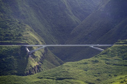 France, Reunion Island (French overseas department), West coast, Grande Ravine bridge on the Route des Tamarins at Trois Bassins (aerial view)