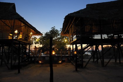 Tanzanie, Reserve de gibier de Selous une des plus grandes zones protégées au monde et inscrite sur la liste du patrimoine mondial de l’Unesco depuis 1982, le très exclusif Selous Camp, le bar et la salle à manger