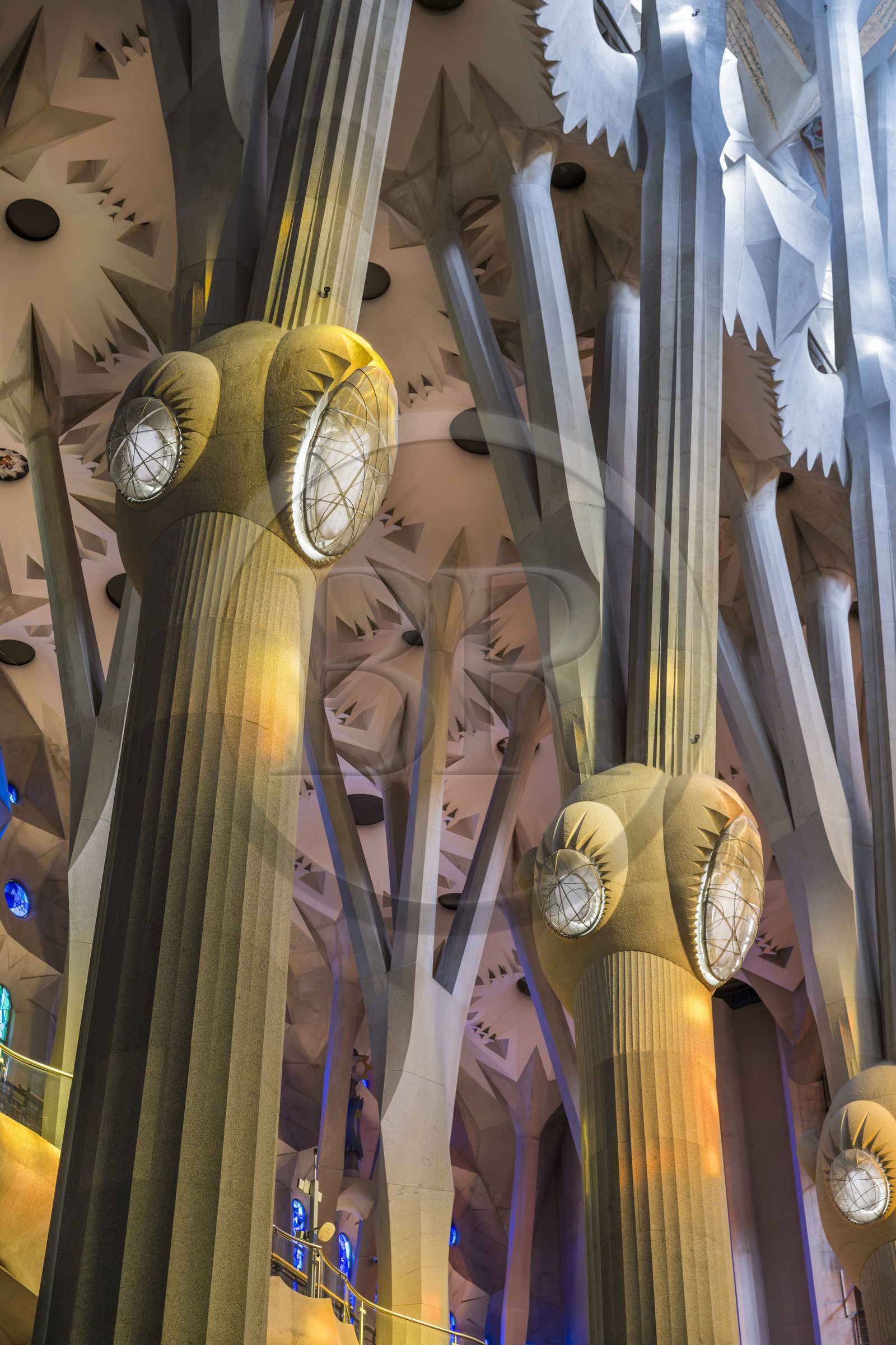 Espagne, Catalogne, Barcelone, quartier de l'Eixample, basilique de la Sagrada Familia de l'architecte du modernisme catalan Antoni Gaudi classée Patrimoine Mondial de l'UNESCO, au dessus du noeud, les colonnes du vaisseau central (nef) se subdivisent en branches tel un arbre, éclairées par les projections chaudes des vitraux du coté de la facade de la Passion