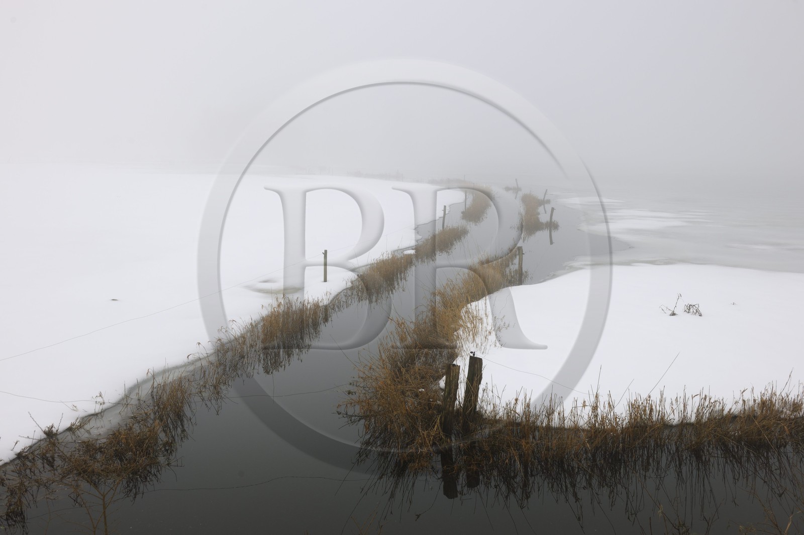 France, Manche (50), Cotentin, marais de la Douve vers Liesville-sur-Douve