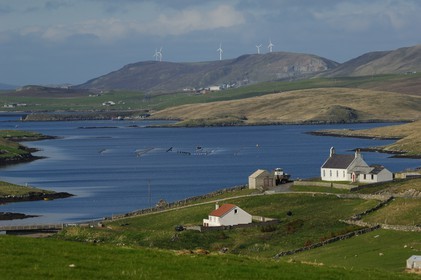 Royaume-Uni, Ecosse, les Shetland, Mainland, Loch of Tingwall